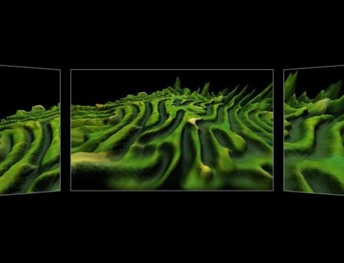 La Tempesta, 3D Labyrinth & Graphics