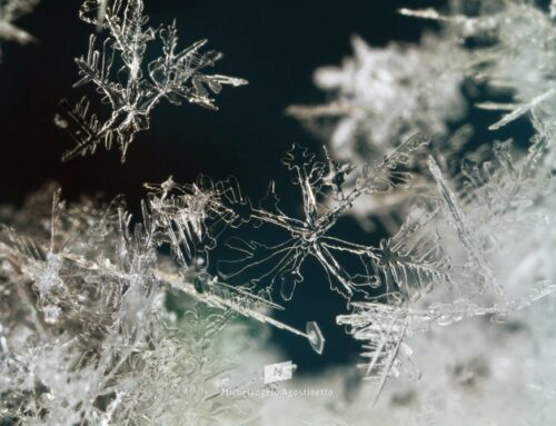 Ice crystals