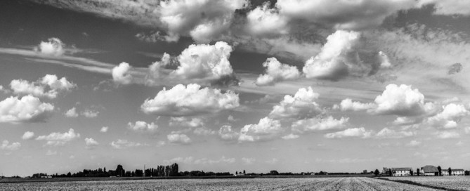 monocrome comacchio